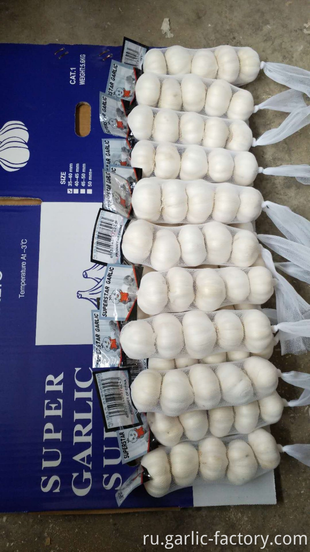 Directly Supply Best Quality Fresh White Garlic